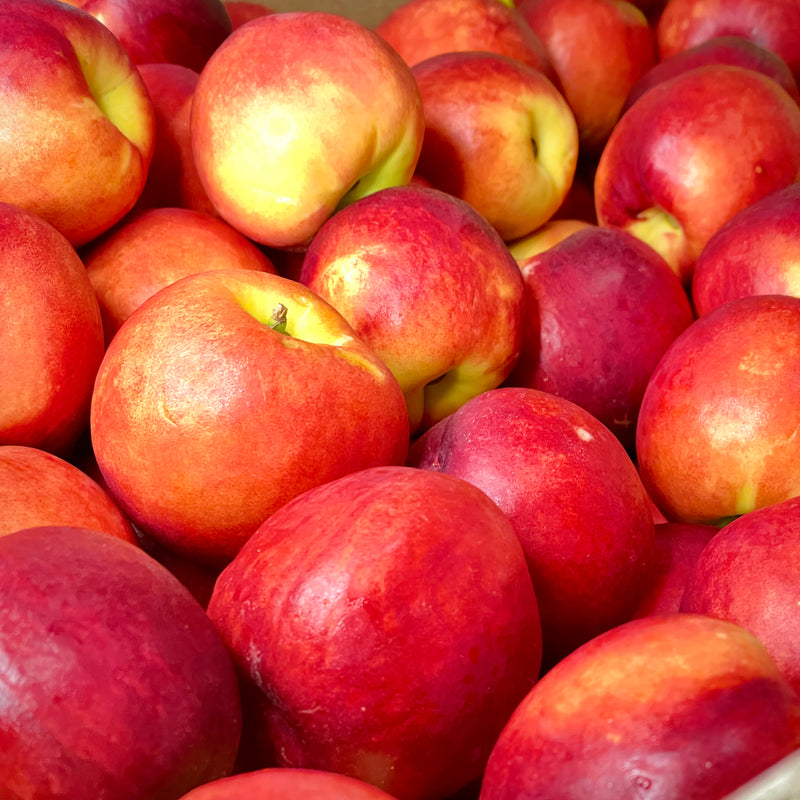 Australia White Nectarines