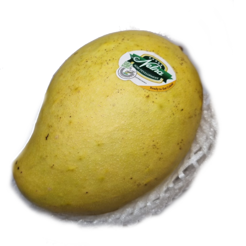 Nelna Mango (500-600g)