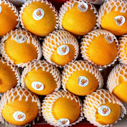 Ecuador Passionfruit