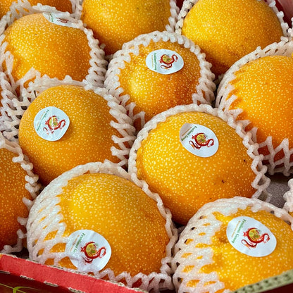 Ecuador Passionfruit
