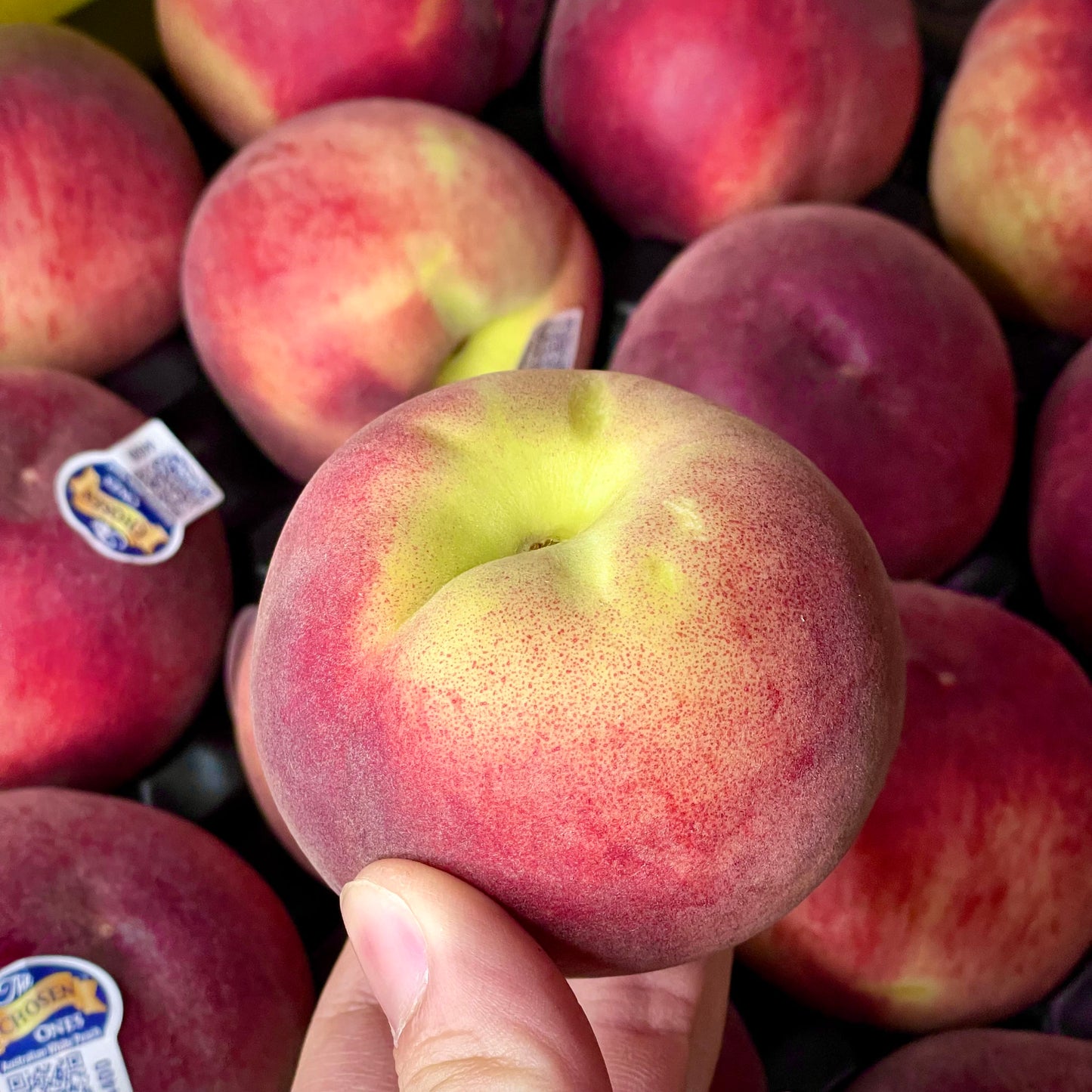 White Peach