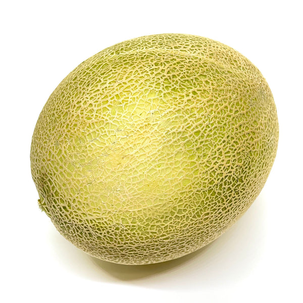 Aus Rock Melon (Large)