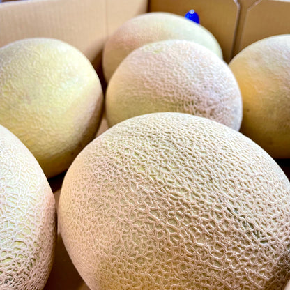 Aus Rock Melon