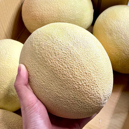 Aus Rock Melon