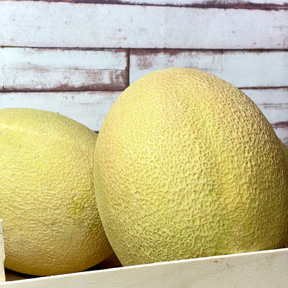 Aus Rock Melon