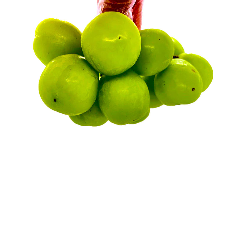 Air-flown Japan Premium Shine Muscat grapes 625g