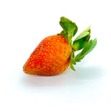 Egypt Strawberries