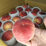 Air-flown Japan Yamanashi White Peach 2pc