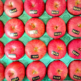 Air-flown Japan Aomori Apple Large