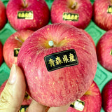 Air-flown Japan Aomori Apple Large