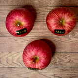 Air-flown Japan Aomori Apple Large