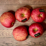 Air-flown Japan Aomori Apple Large