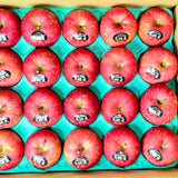 Air-flown Japan Tsugara Aomori Apple (Large)