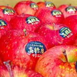 Air-flown Japan Tsugara Aomori Apple (Large)