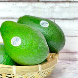Australia Jumbo Avocado