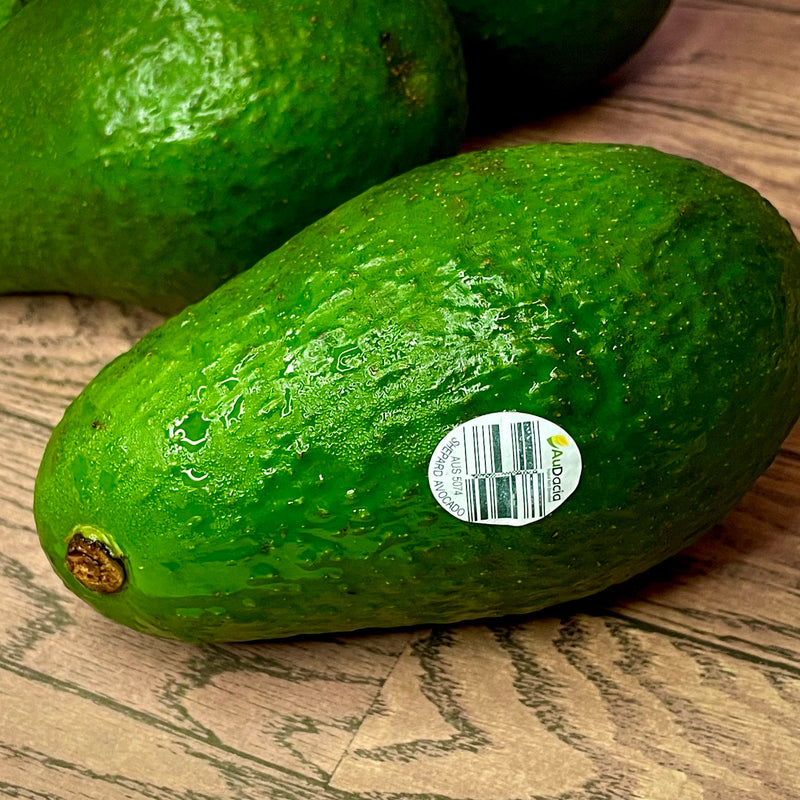 Australia Jumbo Avocado