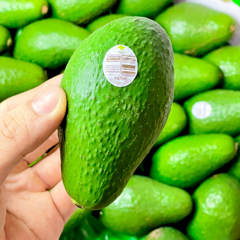 Australia Hass Avocado