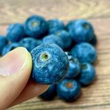 Morocco Jumbo Blueberries 125g