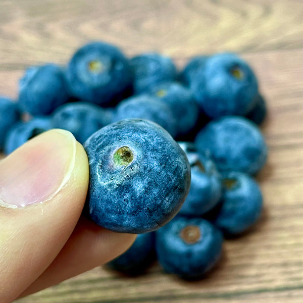 Morocco Jumbo Blueberries 125g