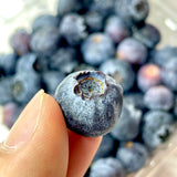 Morocco Super Jumbo Blueberries