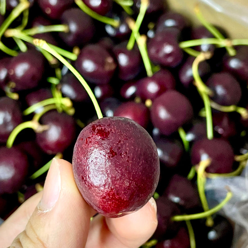 Chile Cherries 28-32mm