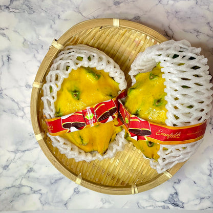 Yellow Dragonfruit