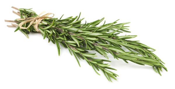 Local Rosemary Leaves
