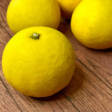 Japan air-flown Miyasaki Hyuganatsu gift box