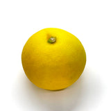 Japan air-flown Miyasaki Hyuganatsu gift box