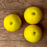 Japan air-flown Miyasaki Hyuganatsu gift box