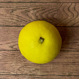 Japan air-flown Miyasaki Hyuganatsu gift box