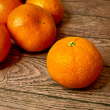 USA Sunkist Murcott Mandarins