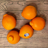 Minneola Orange