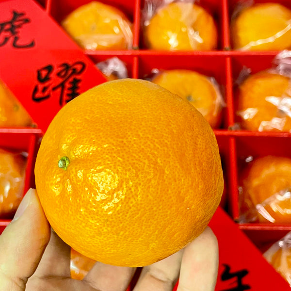 Taiwan ABC 20pcs Ponkan Mandarin Oranges Gift Box