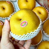 Nan Shui pear