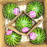 Air-flown Kumamoto Pino Girl Watermelon