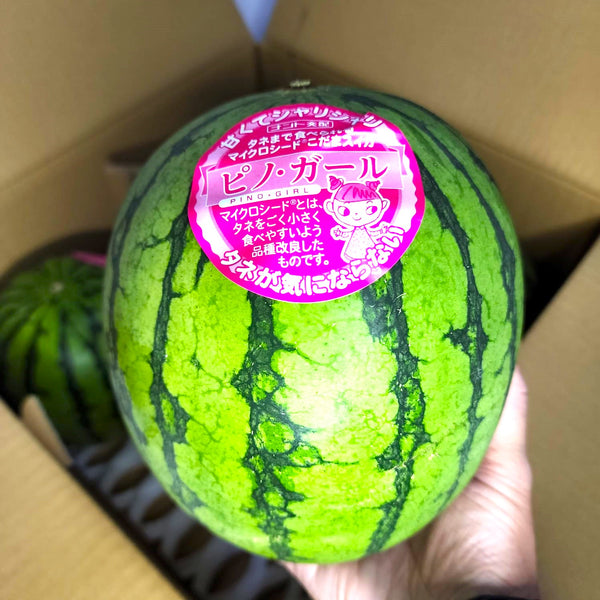Air-flown Kumamoto Pino Girl Watermelon