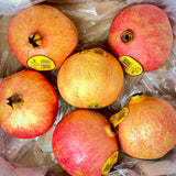 Pomegranate