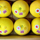 Japan Air-flown Jumbo Kumamoto Pomelo