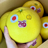 Japan Air-flown Jumbo Kumamoto Pomelo