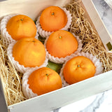 Japan Ponkans (Wooden Gift Box) 6pcs