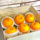 Japan Ponkans (Wooden Gift Box) 6pcs