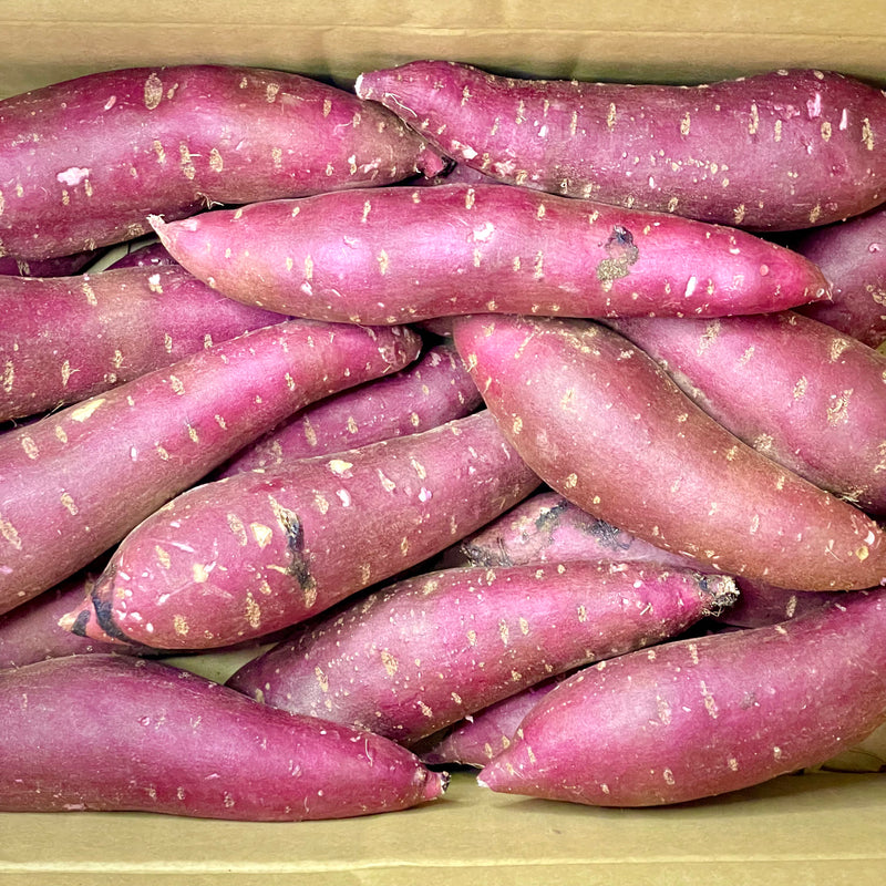 Air-flown Japan Purple Sweet Potato