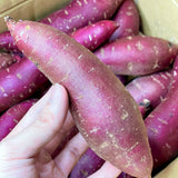 Air-flown Japan Purple Sweet Potato