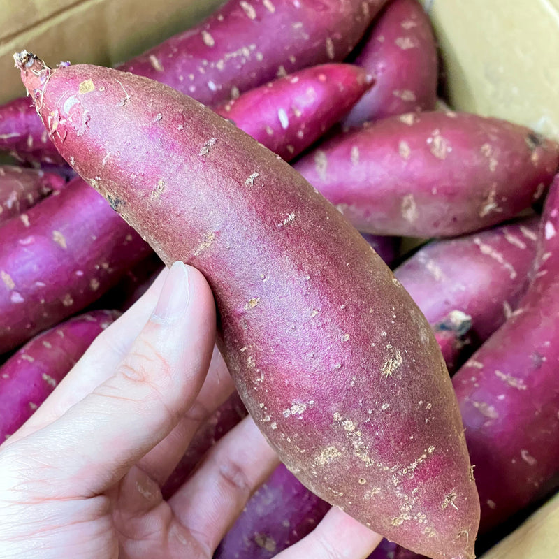 Air-flown Japan Purple Sweet Potato