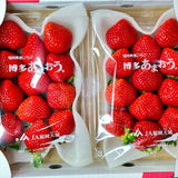 Japan Air-flown Fukuoka Amaou Strawberries