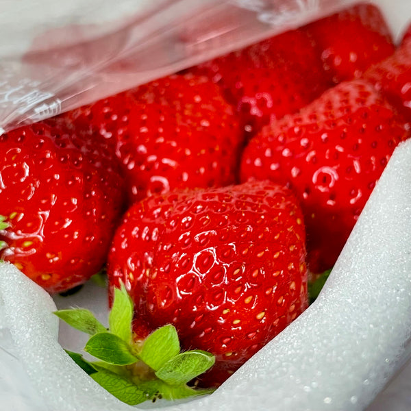 Japan Air-flown Fukuoka Amaou Strawberries
