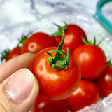 Air-flown Japan Cherry Tomatoes (200g)